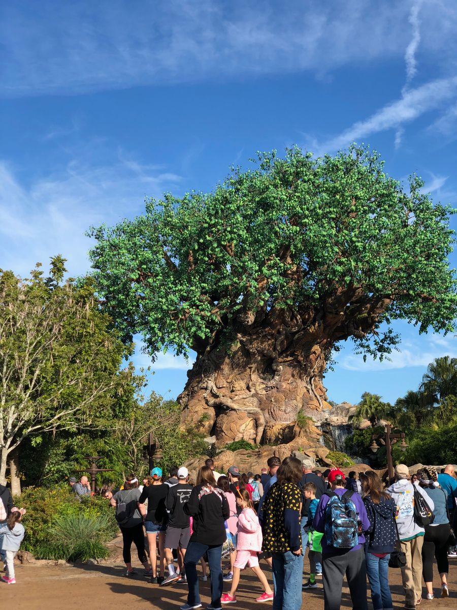 Chessington World of Adventures